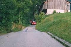 Coccinelle-montgolfiere - Cox Ballon (86)